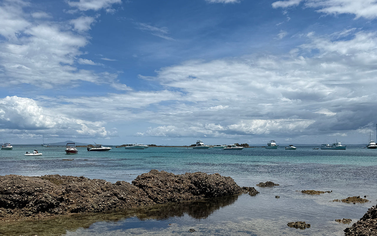 We made it to Tiritiri Matangi Island!
