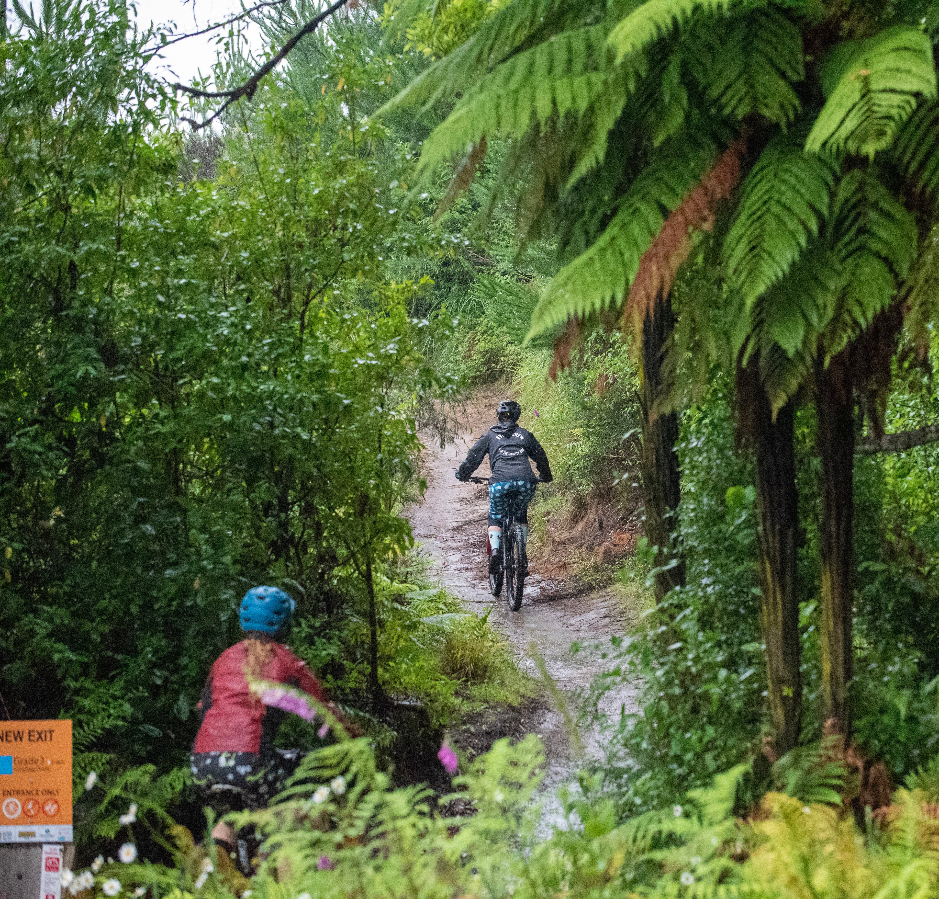 The Ultralight Trail Short - Kereru