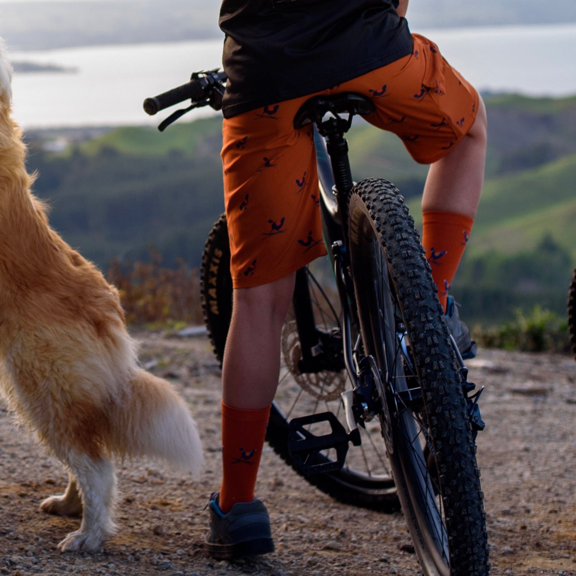 The Ultralight Trail Short - Tieke