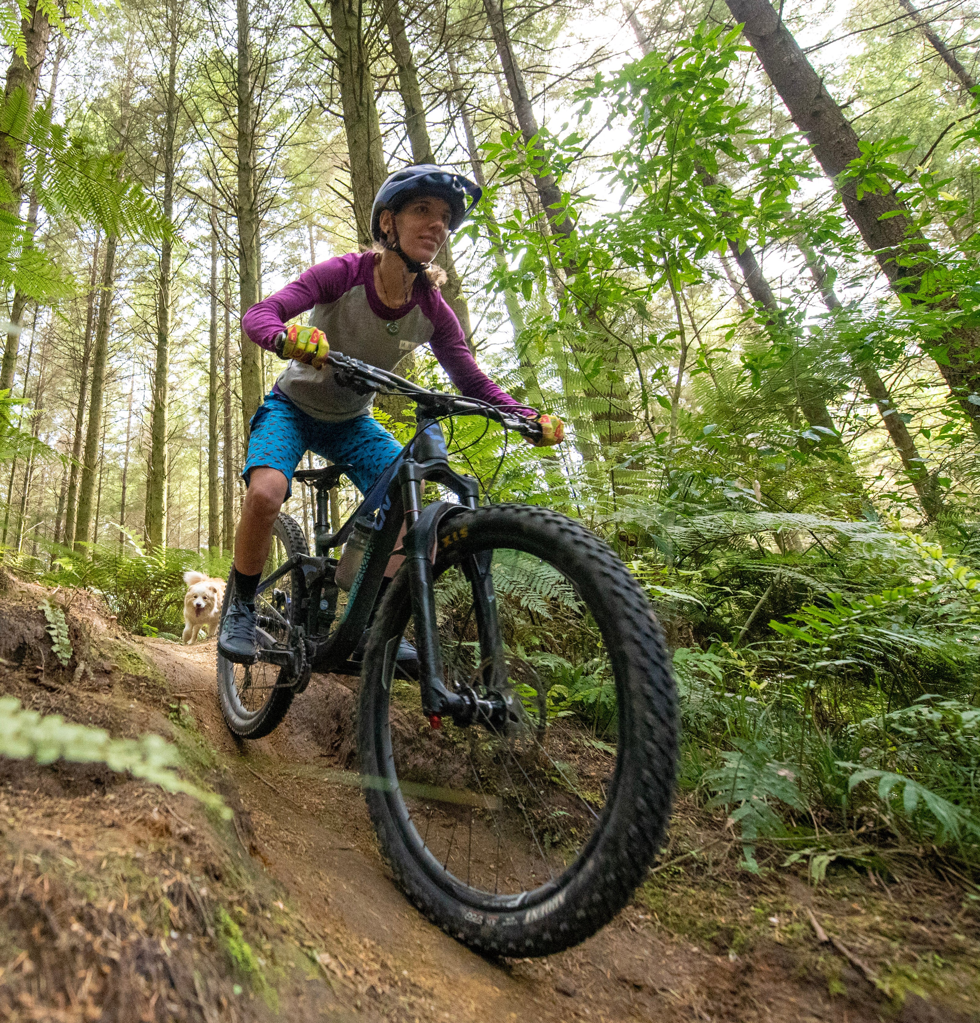 The Ultralight Trail Short - Piwakawaka