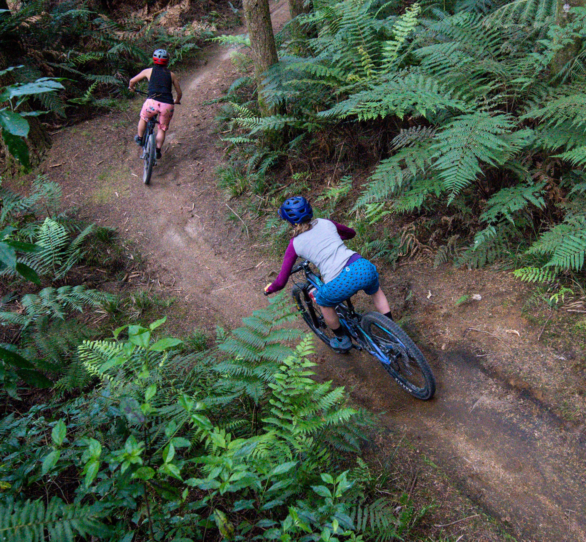 The Ultralight Trail Short - Piwakawaka