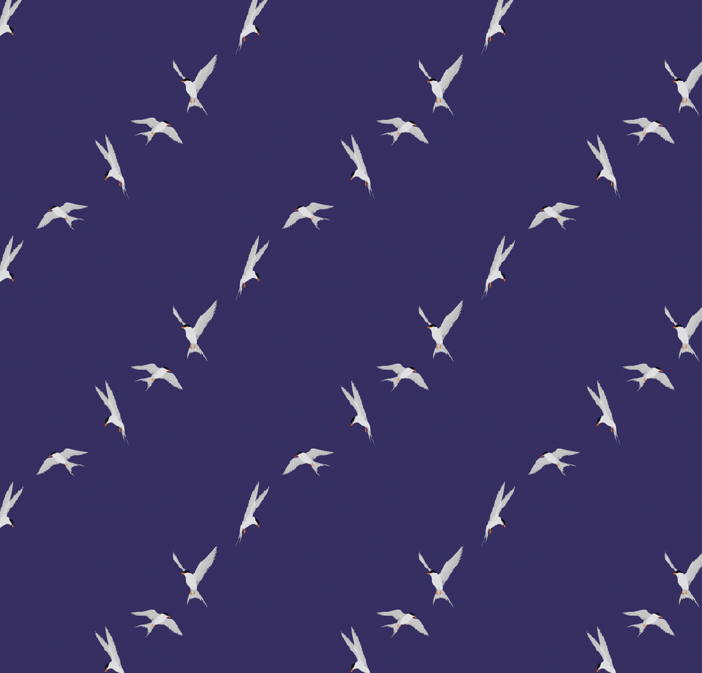 The Ultralight Trail Short - BFT (Black Fronted Tern)